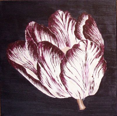 Aubergine Tulip 1