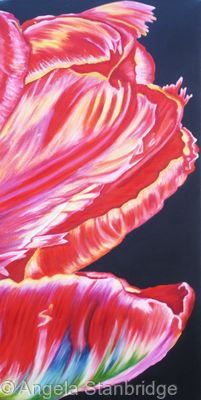 Large Red Tulip 2