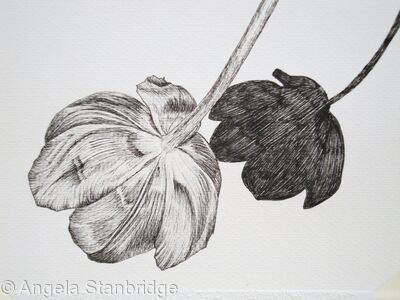 Tulipmania 1 - Pen