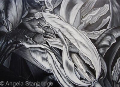 Tulipmania 6 - Black and White
