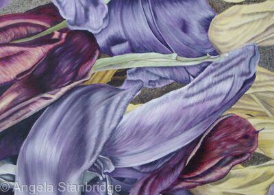 Tulipmania 4 - Colour