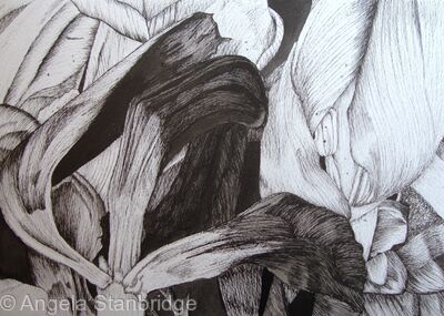 Tulipmania 7 - Pen