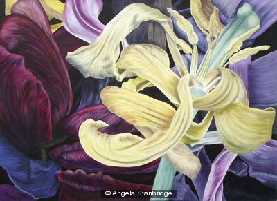 Tulipmania 11 - Colour