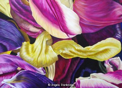 Tulipmania 12 - Colour