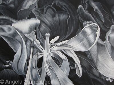 Tulipmania 16 - Black and White