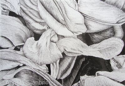 Tulipmania 12 - Pen