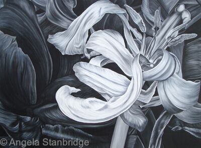 Tulipmania 11 - Black and White
