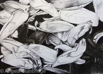 Tulipmania 15 - Pen