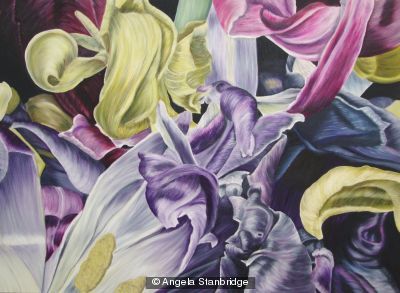 Tulipmania 14 - Colour