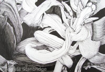 Tulipmania 11 - Pen