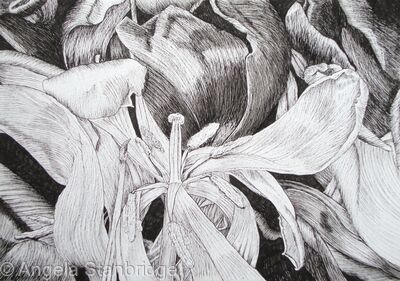 Tulipmania 16 - Pen