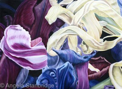 Tulipmania 18 - Colour