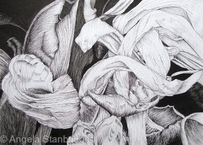 Tulipmania 18 - Pen