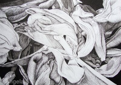Tulipmania 19 - Pen