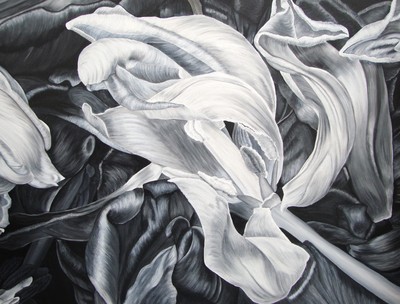 Tulipmania 19 - Black & White