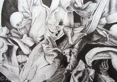 Tulipmania 14 - Pen