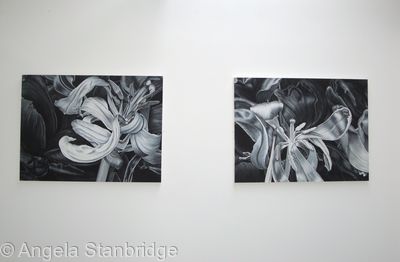 Degree Show 2