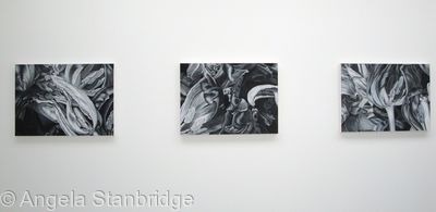 Degree Show 3