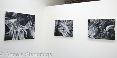 Degree Show 4