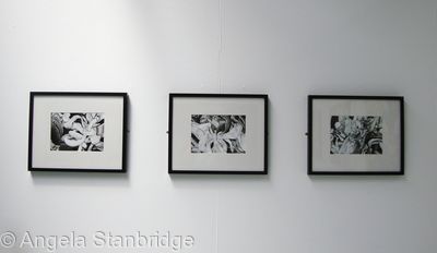 Degree Show 5