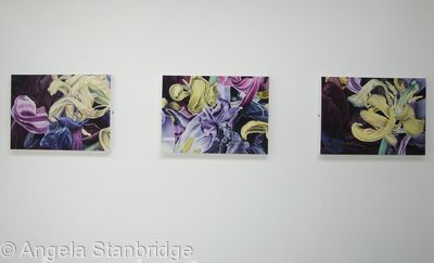 Degree Show 6