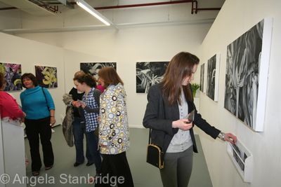 Degree Show 8
