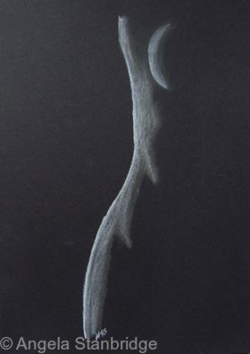 Nude 28 Black
