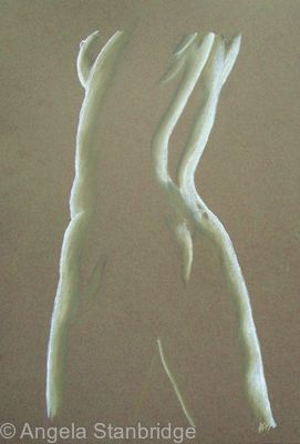 Nude 27 Brown