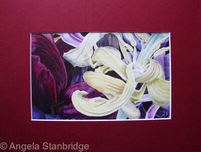 Tulipmania 11 - Print Burgandy Mount