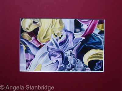 Tulipmania 14 - Print Burgandy Mount