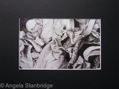 Tulipmania 14 - Print Black Mount