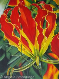 Gloriosa Tulip