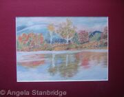 Autumn Reflections