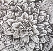 B/W Dahlia Flower 3