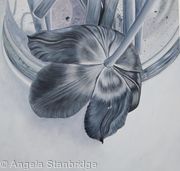 Tulipmania 2 - Black and White
