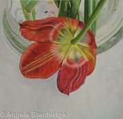 Tulipmania 2 - Colour