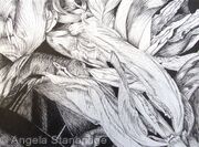 Tulipmania 6 - Pen