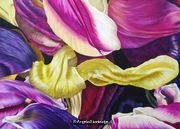 Tulipmania 12 - Colour