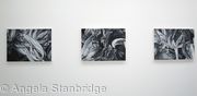 Degree Show 3