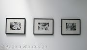 Degree Show 5