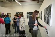Degree Show 8