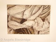 Tulipmania 12 - Etching #3