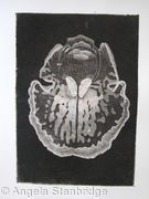 Abstract Orchid 1 - Etching - Peach