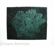 Caspin Dark Tulip Aquatint Etching Dk Green