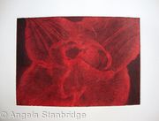 Compostella Tulip Aquatint Etching Red