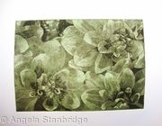 Dahlia 2 lt green