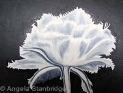 Cool Crystal Tulip