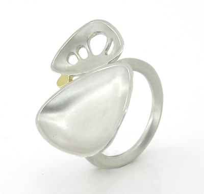 xylem double ring