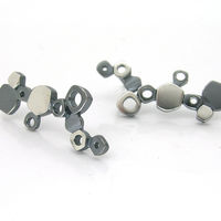 lamella long cluster earrings