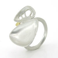 xylem double ring